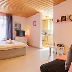 Padrun 6-weisshornbahn-arosa Zentrum-top Lage Apartment *