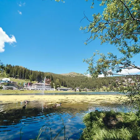 Padrun 6-weisshornbahn-arosa Zentrum-top Lage Apartment *